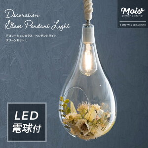 Ɩ LED dt V[OCg Cg  傫 E26 tFCNO[ AWg fR[VKXy_gCg O[Zbg LTCY C-F-1