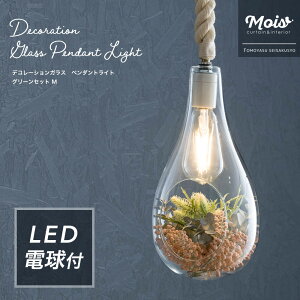 Ɩ LED dt V[OCg Cg  E26 tFCNO[ AWg fR[VKXy_gCg O[Zbg MTCY C-F-1