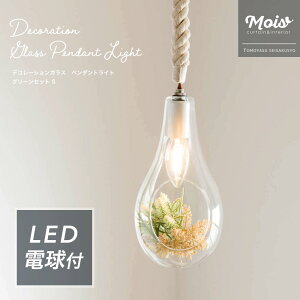 Ɩ LED dt V[OCg Cg   E17 tFCNO[ AWg fR[VKXy_gCg O[Zbg STCY C-F-1