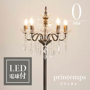 [Si|Cg10{520`4] LED dt VfA Ɩ Cg  tACg 킢 m _ AeB[N E17 I[u ORRB KXVfAtAv 5 