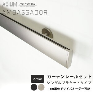 �A�C�A���J�[�e�����[�� �V���O���Z�b�g 0.5�`6m�܂� [1cm�P�ʃT�C�Y�I�[�_�[ ������� ������ �V���v�� ���� �j�O �J�[�e�� ���[�� �n�C�G���h �h�C�c�� ADIUM �A�f�B�E�� AMBASSADOR �A���o�T�_�[