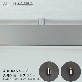 楽天市場 アイアン カーテンレール シンプルの通販