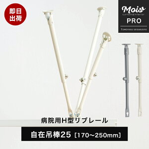 [11%OFFN[|zz×11/1] Lk ݒݖ_25m170`250mm a@p J[e[  Ԏd؂J[e t [ @ fÏ GXeT ډB RgNgJ[e Ɩp ] JQ