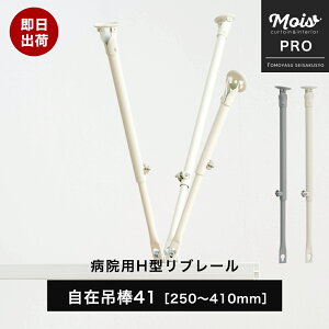 [11%OFFN[|zz×11/1] Lk ݒݖ_41m250`410mm a@p J[e[  Ԏd؂J[e t [ @ fÏ GXeT ډB RgNgJ[e Ɩp ] JQ