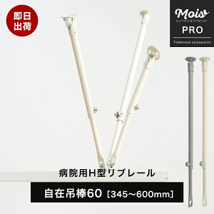 Lk ݒݖ_60m345`600mm a@p J[e[  Ԏd؂J[e t [ @ fÏ GXeT ډB RgNgJ[e Ɩp ] JQ