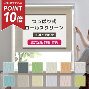 [}\|Cg10{] [XN[ ς Ռ 2 h 30.5`60cm 51`120cm [VF[h Ԏd؂ ډB [J[e  ׂ TCYI[_[ ς莮[X
