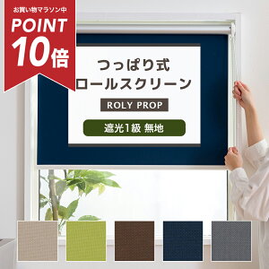 [}\|Cg10{] [XN[ ς Ռ1 20`30cm 30`50cm [VF[h Ԏd؂ ډB [J[e  ׂ TCYI[_[ ς莮[XN[ 