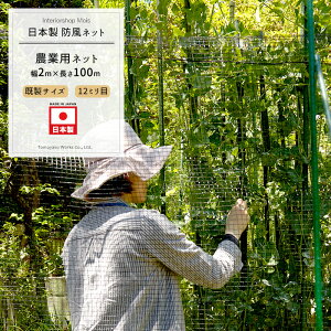 _Ɨplbg 12mm 2m×100m ubN[hlbg ChbZ lbg  _ | ƒ؉  AO agri Ռ h h ڂЂ傤 h ۉ h {] JQ