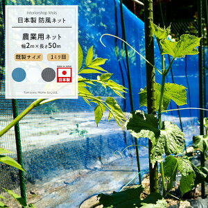 _Ɨplbg 1mm 2m×50m[hlbg ChbZ lbg  _ | ƒ؉  AO agri Ռ h h ڂЂ傤 h ۉ h {] JQ