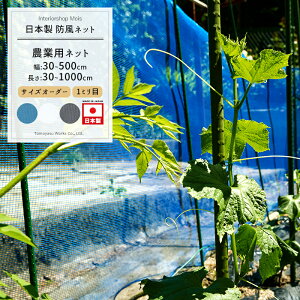 _Ɨplbg 1mm TCYI[_[ `400cm×`400cm[hlbg ChbZ lbg  _ | ƒ؉  AO agri Ռ h h ڂЂ傤 h ۉ h {] JQ