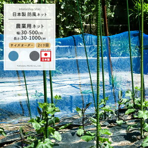 [}\1000~OFFN[|zz] _Ɨplbg 2mm TCYI[_[ `500cm×`600cm[hlbg ChbZ lbg  _ | ƒ؉  AO agri Ռ h h ڂЂ傤 