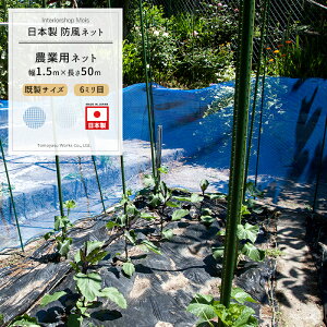 [11%OFFN[|zz×11/1] _Ɨplbg 6mm 1.5m×50m[hlbg ChbZ lbg  _ | ƒ؉  AO agri Ռ h h ڂЂ傤 h ۉ h {] JQ