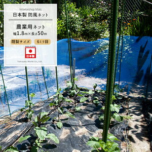 [11%OFFN[|zz×11/1] _Ɨplbg 6mm 1.8m×50m u[[hlbg ChbZ lbg  _ | ƒ؉  AO agri Ռ h h ڂЂ傤 h ۉ h 