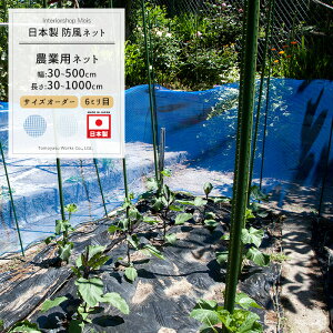 _Ɨplbg 6mm 2m×50m[hlbg ChbZ lbg  _ | ƒ؉  AO agri Ռ h h ڂЂ傤 h ۉ h {] JQ