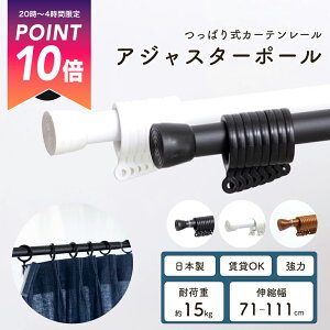 [Si|Cg10{520`4] sv J[e[ ςJ[e[ { ς_  AWX^[|[ Oi[t OK STCYF71`111cmso