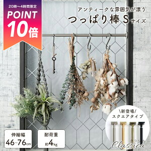 [Si|Cg10{520`4] ACA ς_ STCY NVJ Lk 46-76cm [ bh [ J[e |[ ς Ԏd؂ ˂_  Lk 킢 AeB[N u