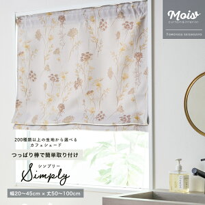 [TCYI[_[] VF[hJ[e JtFVF[h /Vv[/20`45cm×50`100cm 1cmP  VF[h  Xbg ׂ Ԏd؂ ډBȂǂ ς_ŊȒPt OKC5
