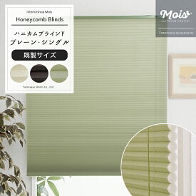 [全品P10倍15日20時〜4時間限定] ハニカムブラインド Bee Bee シングルプレーン 幅60×丈135cm 既製サイズ [ハニカム型 スクリーン 遮熱 断熱 保温 省エネ 防寒 窓 ブラインド スクリーン 彩 洋風 北欧 和風 日本製 おしゃれ インテリア 友安製作所] メーカー直送品 JQ