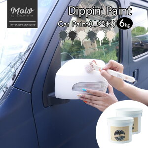 ԗph Car Paint 6kg [Dippin' Paint  h yL J[yCg h h h Ԃh ԓh Sh ѓh  }bgJ[ DIY h hDIY C AeB[N 