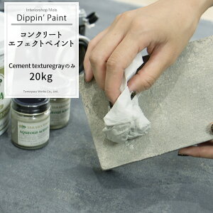 RN[gGtFNg Cement Texturegray20kg Pi [Dippin' Paint h h yL mx[V CN DIY hDIY C  CN Sh Vo[ ^bNh ACAh Sy