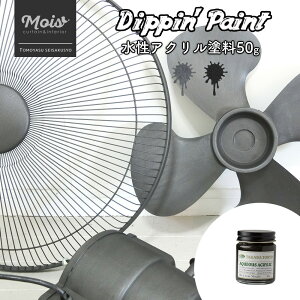 [11OFFN[|zz10/1] soׁt ANh ubNXP[^bN PBVo[ 50g [Dippin' Paint h h yL mx[V CN DIY hDIY C  