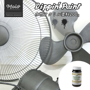 soׁt ANh ubNXP[^bN PBVo[ 200g [Dippin' Paint h h yL mx[V CN DIY hDIY C  CN   ^bN _X