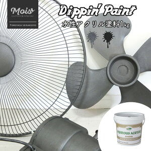 [1010OFFN[|zz] ANh ubNXP[^bN PBVo[ 1kg [Dippin' Paint h h yL mx[V CN DIY hDIY C  CN   ^