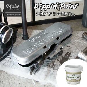 ANh Vo[ 1kg [Dippin' Paint h h yL mx[V CN DIY hDIY C   Vo[ ^bN  C_XgA jO] JQ