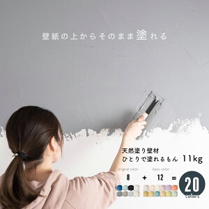 [1010OFFN[|zz] h h  Ǎ O[ VRhǍ ЂƂœh 11kg [ ǂh ΊDǍ   ǎ y ȒP  h  Ǎ tH[ h