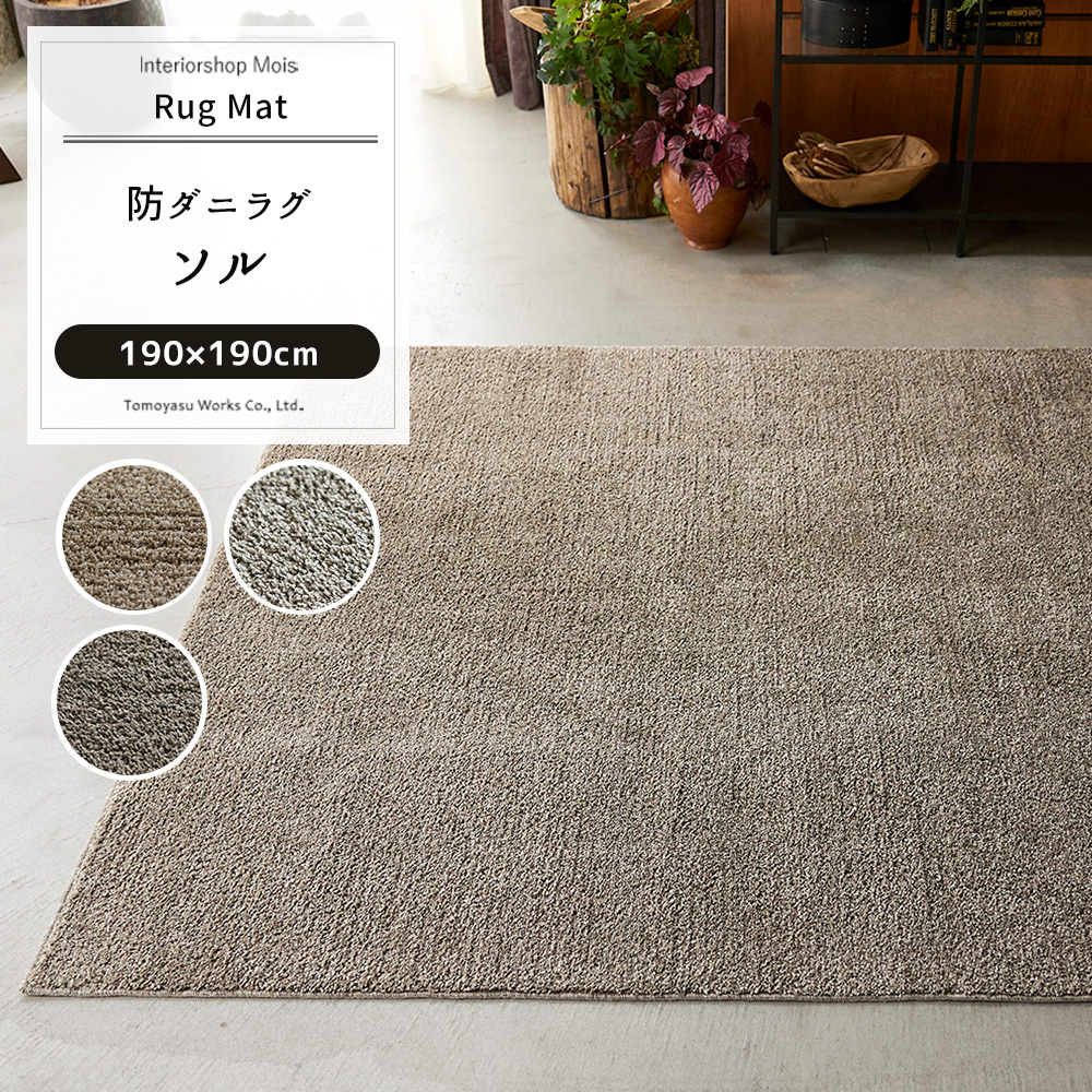 カーペット ラグ マット 絨毯 スミノエ 洗えるの人気商品・通販・価格