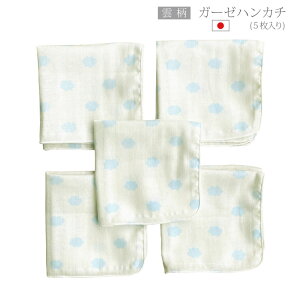 _ijK[[nJ` z[~[ { Ԃ 25×25cm 5 2w xr[ V K[[ _uK[[ K[[͂񂩂 K[[^I xr[K[[