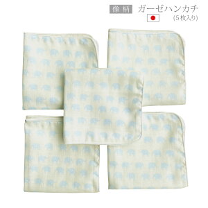 ijK[[nJ` z[~[ { Ԃ 25×25cm 5 2w xr[ V K[[ _uK[[ K[[͂񂩂 K[[^I xr[K[[