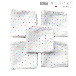 iX^[jK[[nJ` z[~[ { Ԃ 25×25cm 5 2w xr[ V K[[ _uK[[ K[[͂񂩂 K[[^I xr[K[[