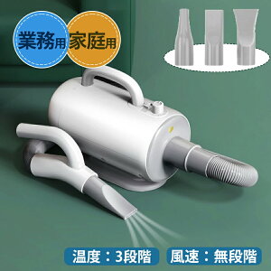 =ybgp hC[ L  ^ ybg 62L C ܂ ƒp P[X wAhC[ hC[ QCS