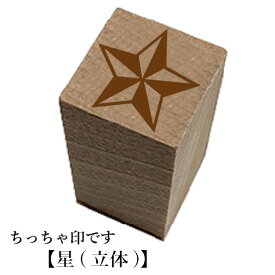 ちっちゃ印です。【星(立体)】和風　かわいい　おしゃれ　クリスマス　年賀状