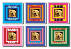 tHgXebJ[@y^Ƃq@̎ʐ^ꂽIWiI[_[[hXebJ[