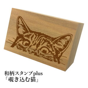 Ƒ傫aX^vplus(vX)u`ޔLva@킢@ylR|X/[։\z