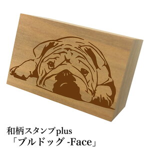 Ƒ傫aX^vplus(vX)uuhbO-Face-va@킢@ylR|X/[։\z