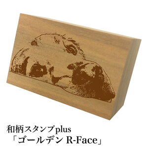 Ƒ傫aX^vplus(vX)uS[fR-Face-va@킢@ylR|X/[։\z