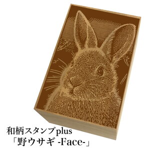 Ƒ傫aX^vplus(vX)uETM-Face-va@킢@ylR|X/[։\z