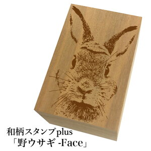 Ƒ傫aX^vplus(vX)uETM-Faceupva@킢@ylR|X/[։\z