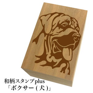 Ƒ傫aX^vplus(vX)u{NT[Face()va@킢@ylR|X/[։\z