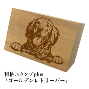 Ƒ傫aX^vplus(vX)uS[fg[o[va@킢@ylR|X/[։\z