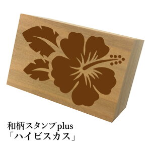 Ƒ傫aX^vplus(vX)unCrXJXva@킢@ylR|X/[։\z