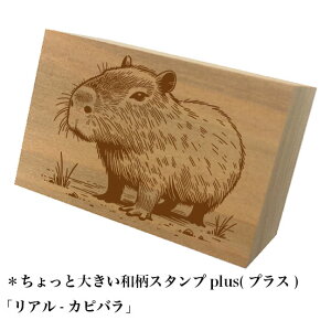 Ƒ傫aX^vplus(vX)uA-Jsova@킢@