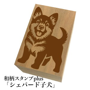 Ƒ傫aX^vplus(vX)uVFp[hqva@킢@ylR|X/[։\z