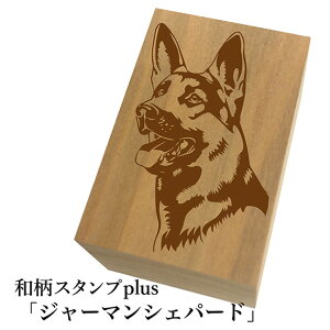 Ƒ傫aX^vplus(vX)uW[}VFp[hva@킢@ylR|X/[։\z