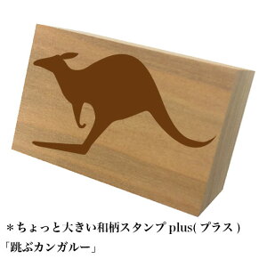 Ƒ傫aX^vplus(vX)uVGbg/ԃJK[va@킢@