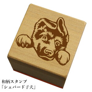 aX^vuVFp[hqAva@킢@ylR|X/[։\z