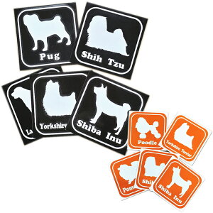  XebJ[ W100mm×H100mm |Cg VGbg JbeBO/CNWFbg/V[ ` S[fgo[ V[Y[ t`uhbO uh[ _bNXtg |j